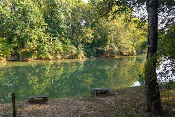 Photo of 3-acres-on-the-chattooga-river-in-gaylesville-cherokee-county-al-court-ordered-auction