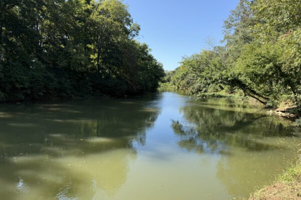 Photo of 3-acres-on-the-chattooga-river-in-gaylesville-cherokee-county-al-court-ordered-auction