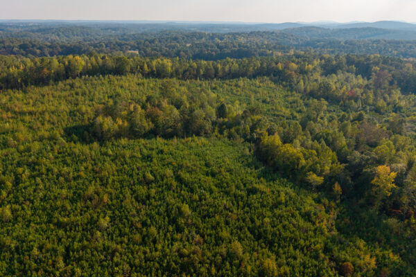 Photo of 200-acre-fronting-big-cedar-creek-cedartown-polk-county-ga-absolute-auction