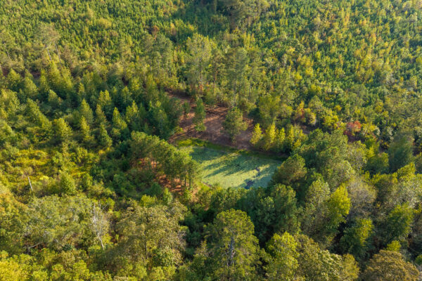 Photo of 200-acre-fronting-big-cedar-creek-cedartown-polk-county-ga-absolute-auction