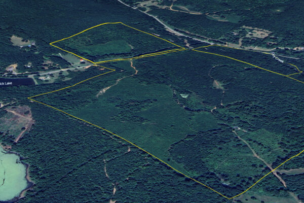 Photo of 200-acre-fronting-big-cedar-creek-cedartown-polk-county-ga-absolute-auction