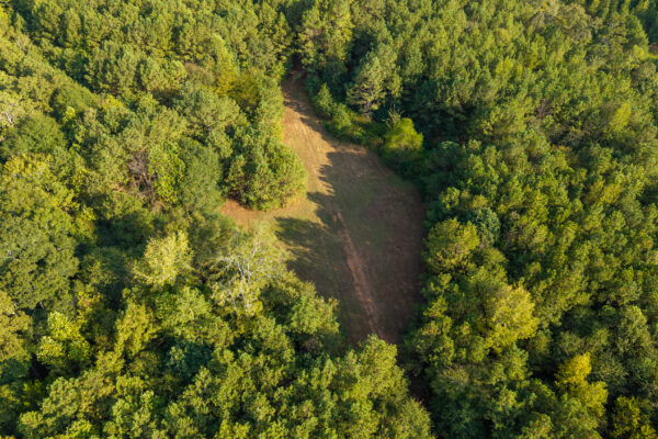Photo of 200-acre-fronting-big-cedar-creek-cedartown-polk-county-ga-absolute-auction