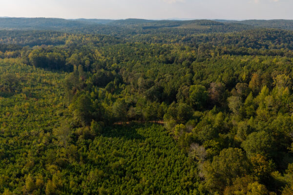 Photo of 200-acre-fronting-big-cedar-creek-cedartown-polk-county-ga-absolute-auction