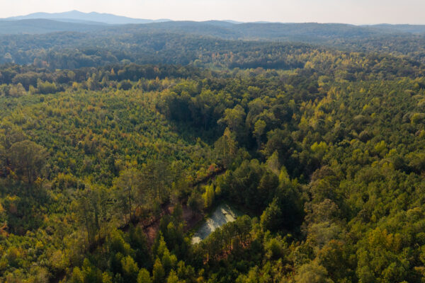 Photo of 200-acre-fronting-big-cedar-creek-cedartown-polk-county-ga-absolute-auction