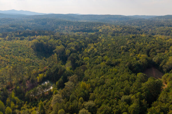 Photo of 200-acre-fronting-big-cedar-creek-cedartown-polk-county-ga-absolute-auction
