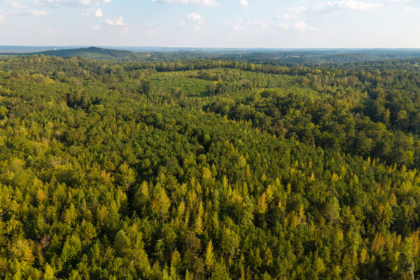 Photo of 200-acre-fronting-big-cedar-creek-cedartown-polk-county-ga-absolute-auction