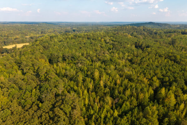 Photo of 200-acre-fronting-big-cedar-creek-cedartown-polk-county-ga-absolute-auction