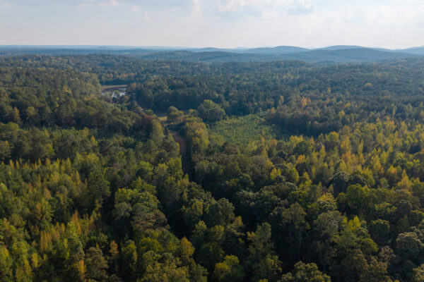 Photo of 200-acre-fronting-big-cedar-creek-cedartown-polk-county-ga-absolute-auction