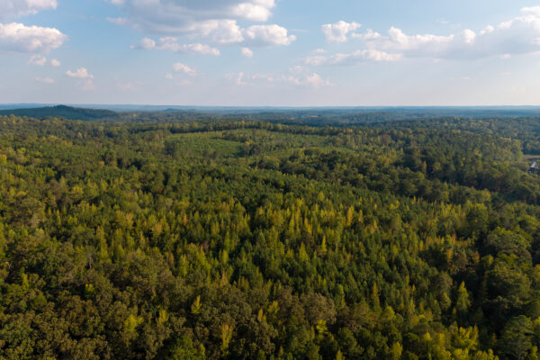 Photo of 200-acre-fronting-big-cedar-creek-cedartown-polk-county-ga-absolute-auction
