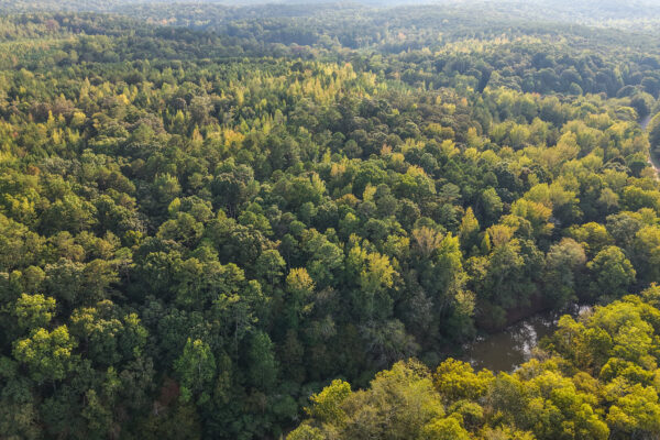 Photo of 200-acre-fronting-big-cedar-creek-cedartown-polk-county-ga-absolute-auction