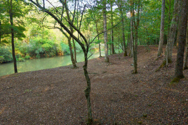 Photo of 200-acre-fronting-big-cedar-creek-cedartown-polk-county-ga-absolute-auction