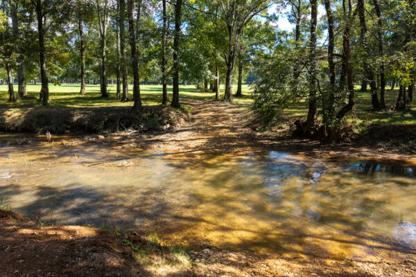 Photo of 160-acre-premier-farm-calhoun-gordon-county-ga-auction
