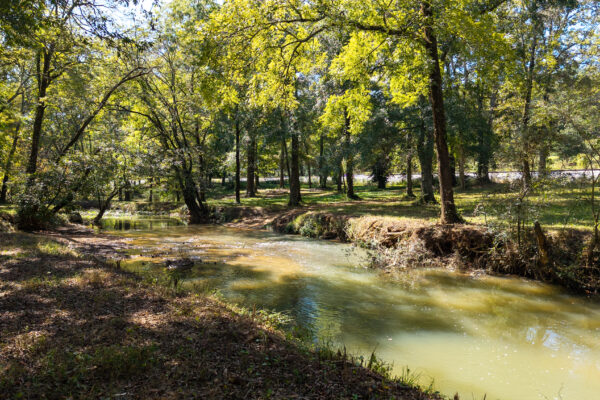 Photo of 160-acre-premier-farm-calhoun-gordon-county-ga-auction