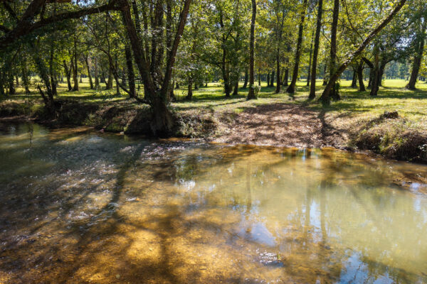 Photo of 160-acre-premier-farm-calhoun-gordon-county-ga-auction