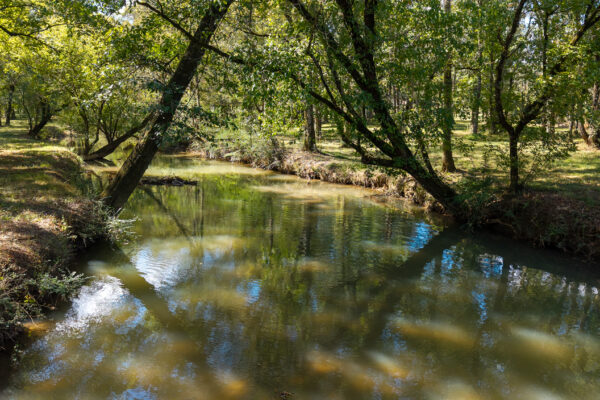 Photo of 160-acre-premier-farm-calhoun-gordon-county-ga-auction