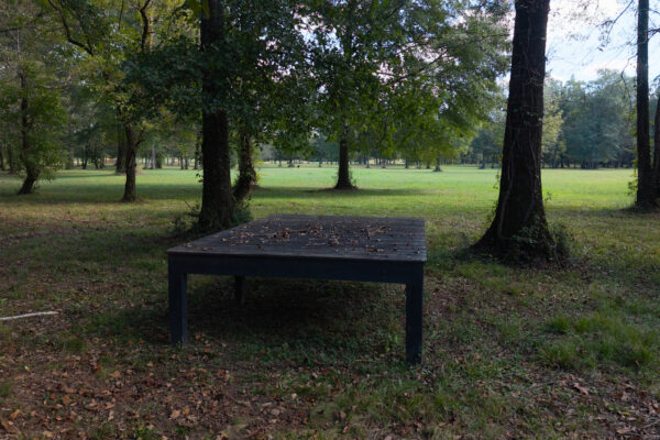 Photo of 160-acre-premier-farm-calhoun-gordon-county-ga-auction