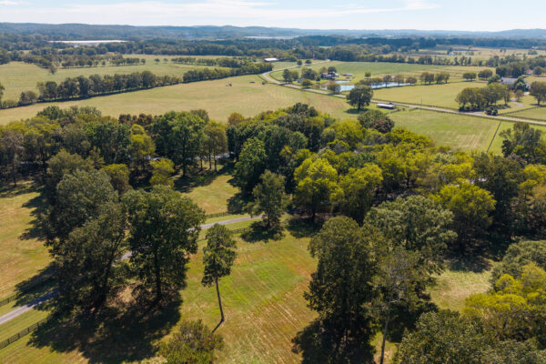 Photo of 160-acre-premier-farm-calhoun-gordon-county-ga-auction