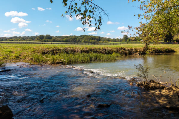 Photo of 160-acre-premier-farm-calhoun-gordon-county-ga-auction