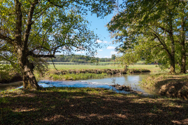 Photo of 160-acre-premier-farm-calhoun-gordon-county-ga-auction