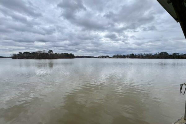 Photo of home-with-dock-on-weiss-lake-cedar-bluff-al-auction