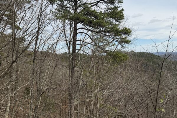 Photo of spacious-mount-alto-home-rome-floyd-county-ga-absolute-estate-auction