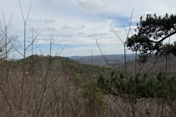 Photo of spacious-mount-alto-home-rome-floyd-county-ga-absolute-estate-auction