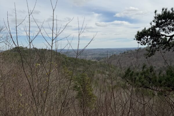Photo of spacious-mount-alto-home-rome-floyd-county-ga-absolute-estate-auction