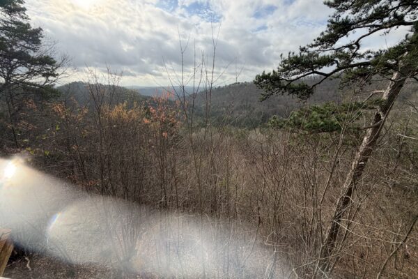 Photo of spacious-mount-alto-home-rome-floyd-county-ga-absolute-estate-auction