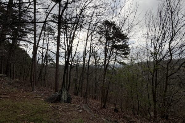 Photo of spacious-mount-alto-home-rome-floyd-county-ga-absolute-estate-auction