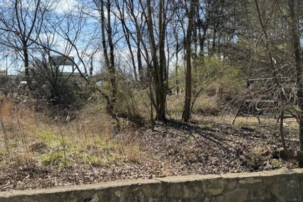 Photo of trust-liquidation-of-8-properties-in-calhoun-resaca-and-austell-ga-absolute-auction