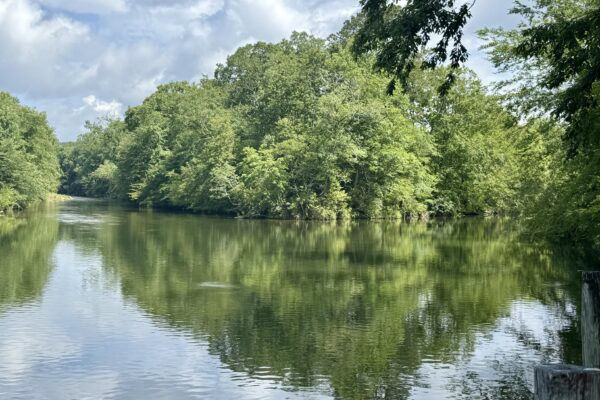 Photo of 2-waterfront-building-lots-in-the-landings-at-little-river-centre-al-auction