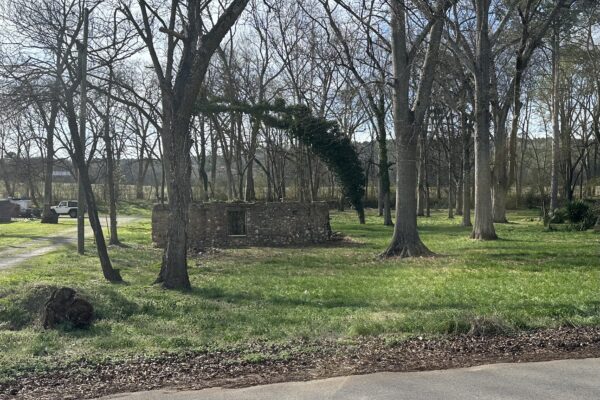 Photo of 0-34-acre-residential-lot-in-cave-spring-ga-auction