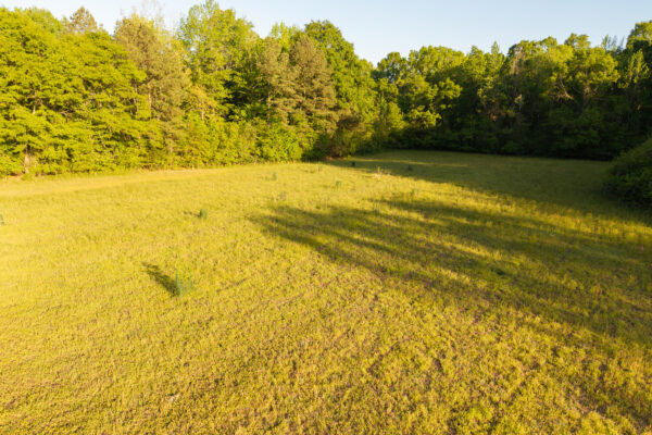 Photo of 116-acres-on-the-coosa-river-with-homes-barns-and-ponds