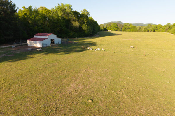 Photo of 116-acres-on-the-coosa-river-with-homes-barns-and-ponds