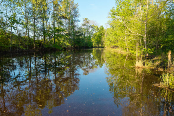 Photo of 116-acres-on-the-coosa-river-with-homes-barns-and-ponds