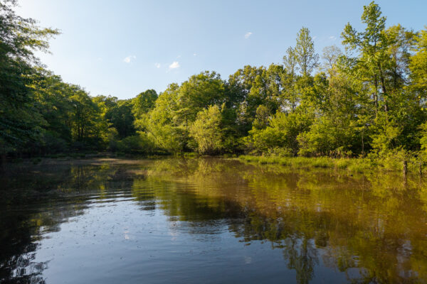 Photo of 116-acres-on-the-coosa-river-with-homes-barns-and-ponds