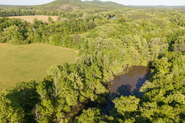 Photo of 116-acres-on-the-coosa-river-with-homes-barns-and-ponds