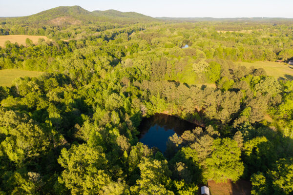 Photo of 116-acres-on-the-coosa-river-with-homes-barns-and-ponds