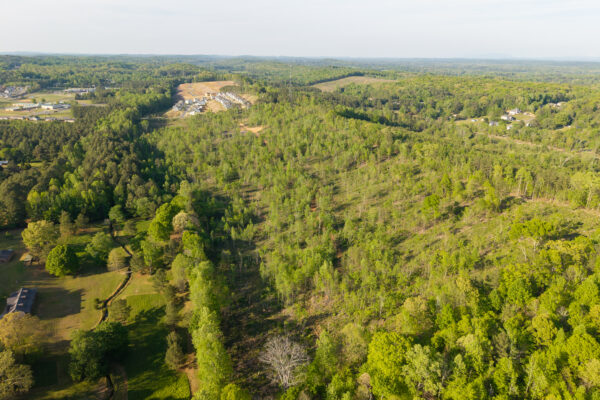 Photo of 61-developable-acres-dalton-whitefield-county-ga-auction