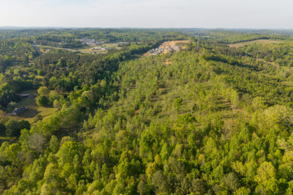 Photo of 61-developable-acres-dalton-whitefield-county-ga-auction