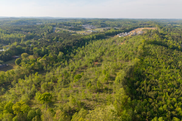 Photo of 61-developable-acres-dalton-whitefield-county-ga-auction