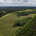 138± acres of Lush Pastures with Barn | Double Springs, Winston County, AL Auction