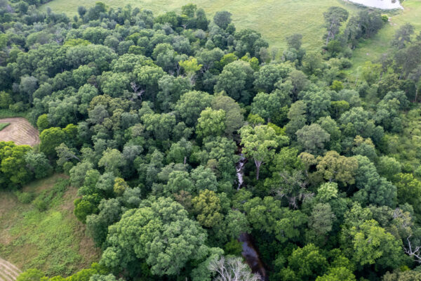 Photo of 100-acres-with-pastures-2-ponds-and-barn-boaz-marshall-county-al-auction