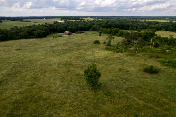 Photo of 100-acres-with-pastures-2-ponds-and-barn-boaz-marshall-county-al-auction