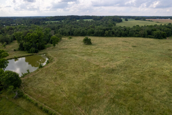 Photo of 100-acres-with-pastures-2-ponds-and-barn-boaz-marshall-county-al-auction