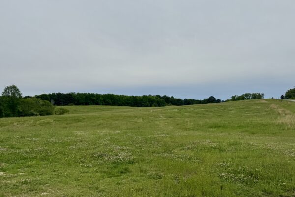 Photo of 138-acres-of-lush-pastures-with-barn