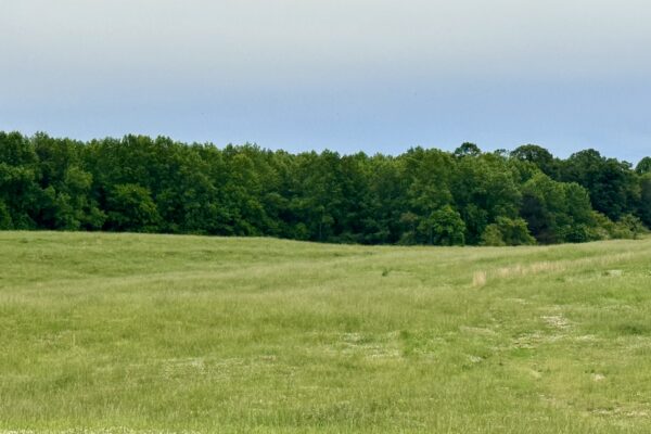 Photo of 138-acres-of-lush-pastures-with-barn