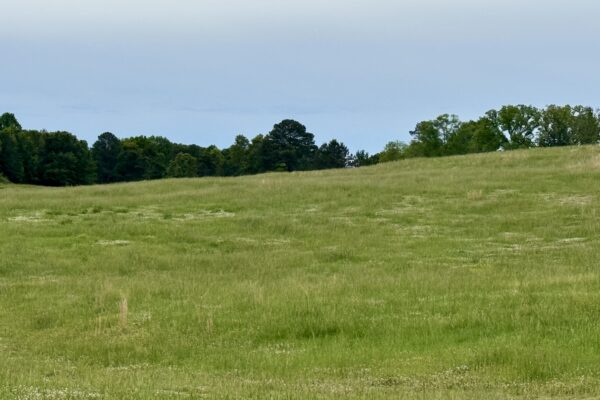 Photo of 138-acres-of-lush-pastures-with-barn