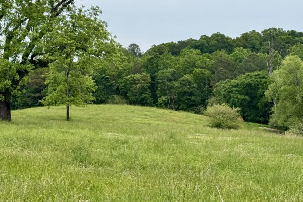 Photo of 138-acres-of-lush-pastures-with-barn