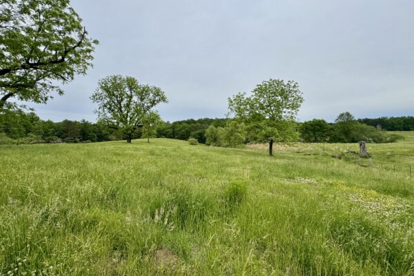 Photo of 138-acres-of-lush-pastures-with-barn